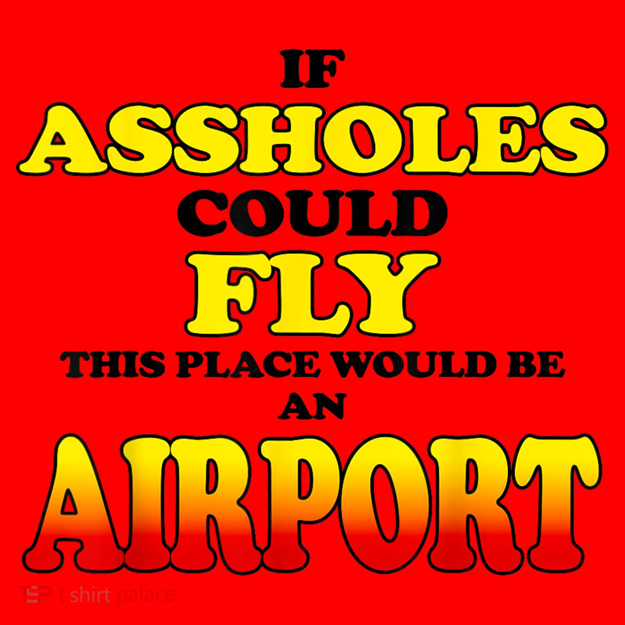 If Assholes Could Fly This Place Would Be An Airport Santa Hat