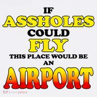 If Assholes Could Fly This Place Would Be An Airport Women's Hoodie thumb 2