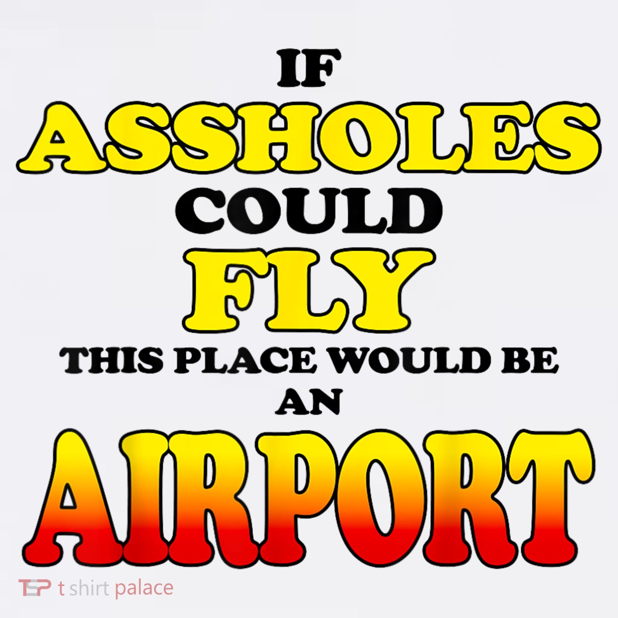 If Assholes Could Fly This Place Would Be An Airport Women's Hoodie