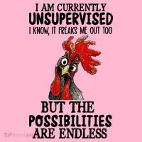 I Am Currently Unsupervised Chicken Rooster Funny Coaster thumb 2