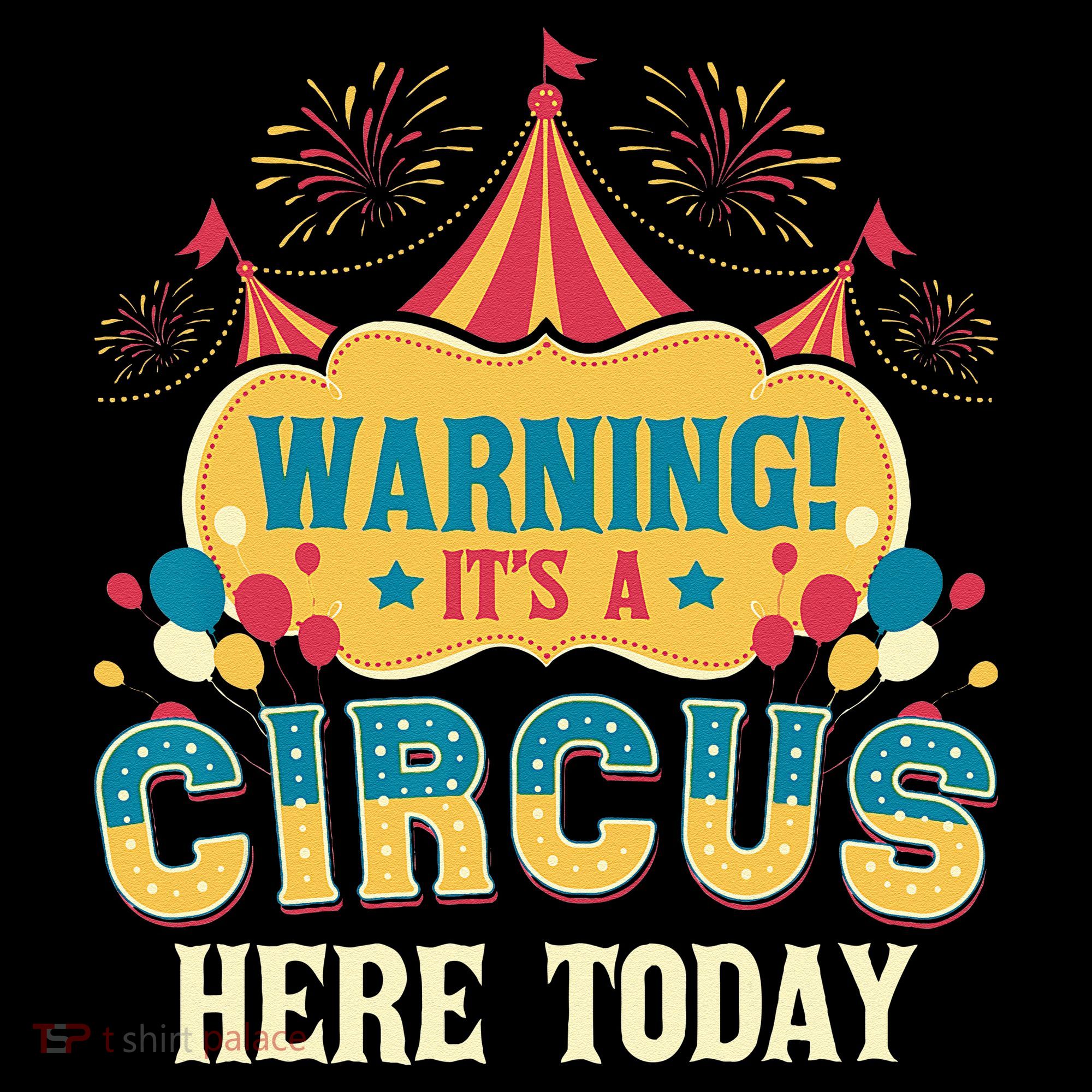 Its A Circus Here Today Circus Birthday Party Costume Women's Hoodie