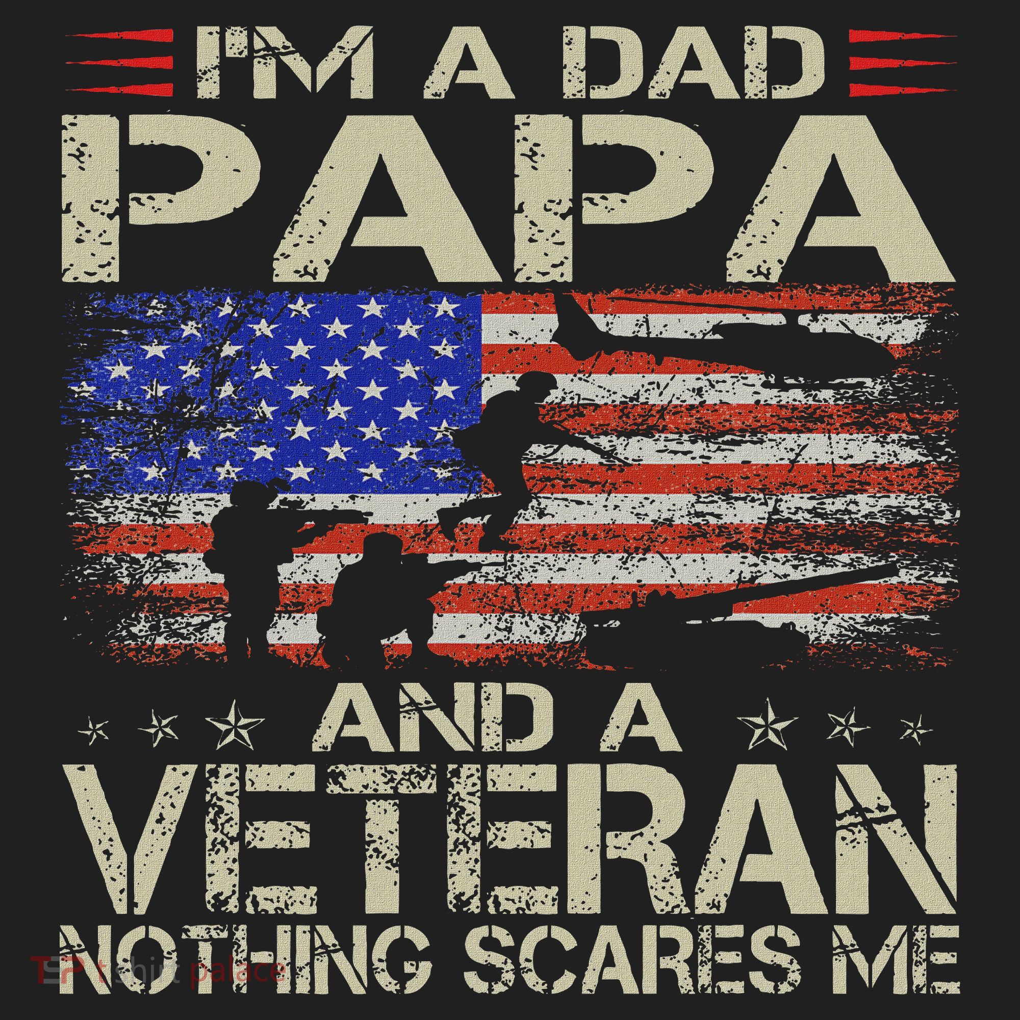 I'm A Dad Papa And Veteran Funny Retro Dad Papa Grandpa Beanie
