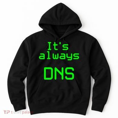 It's Always DNS Hoodie