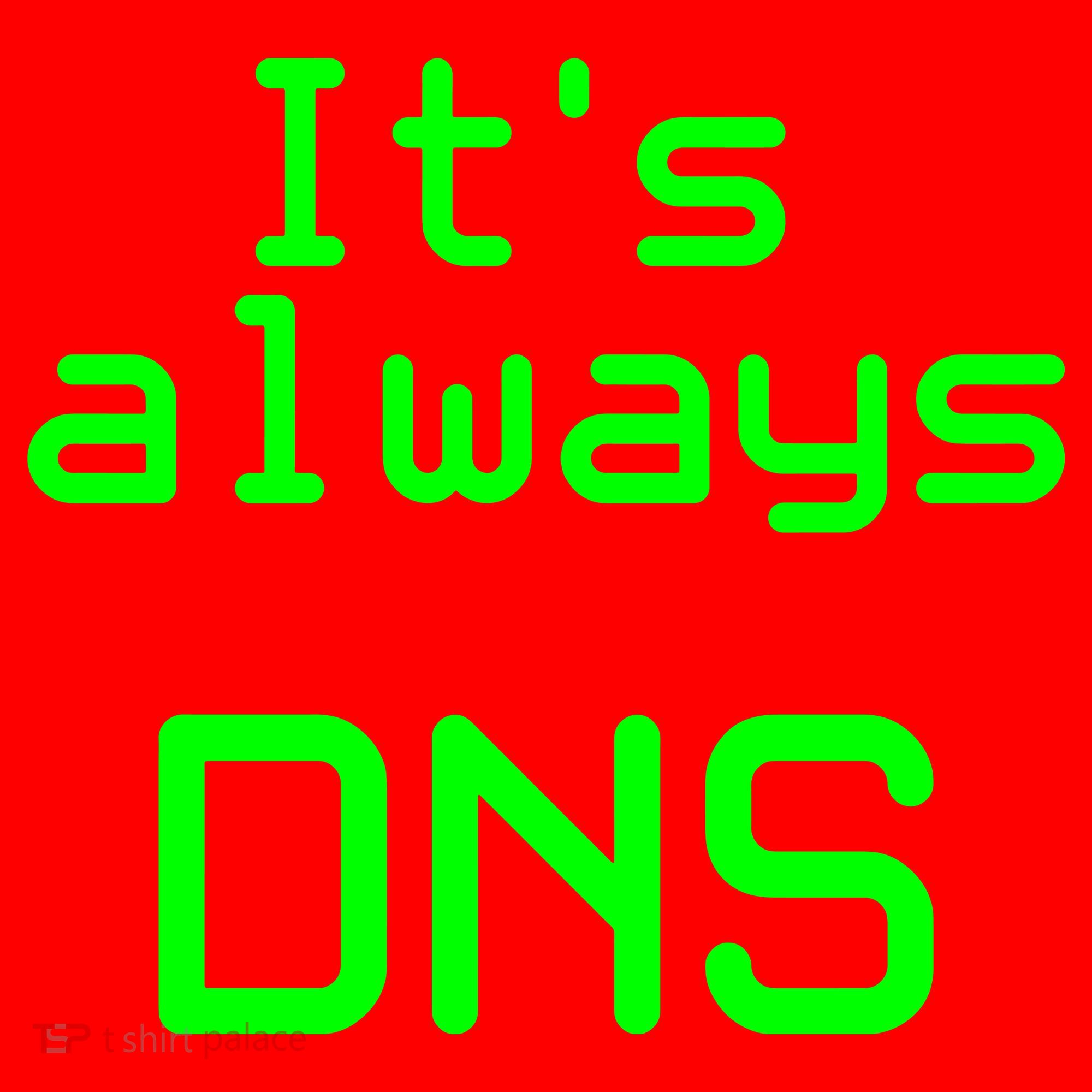 It's Always DNS Santa Hat