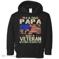 I'm A Dad Papa And Veteran Father's Day Retro Toddler Hoodie thumb 0