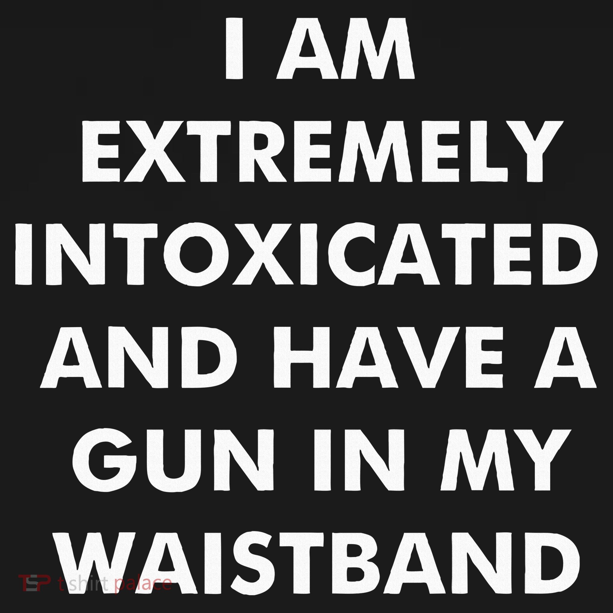 I Am Extremely Intoxicated And Have A Gun In My Waistband Kids Sweatshirt