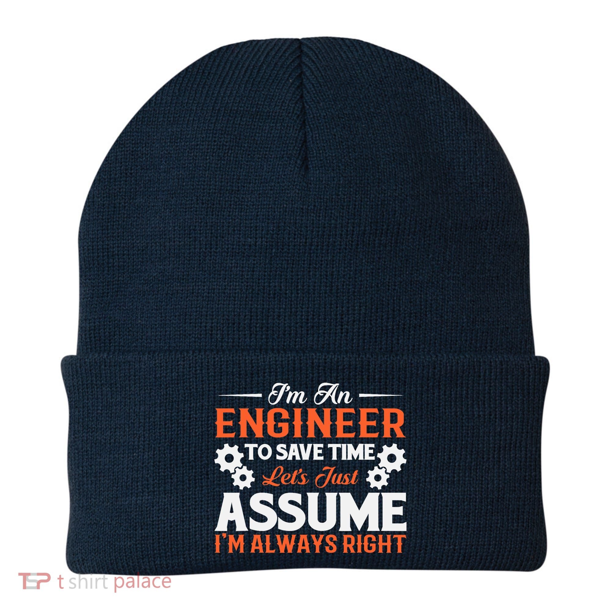 I’m An Engineer To Save Time Let’s Just Assume I Am Right Beanie