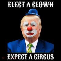 Impeach Antitrump Elect A Clown Expect A Circus Women's Hoodie thumb 2