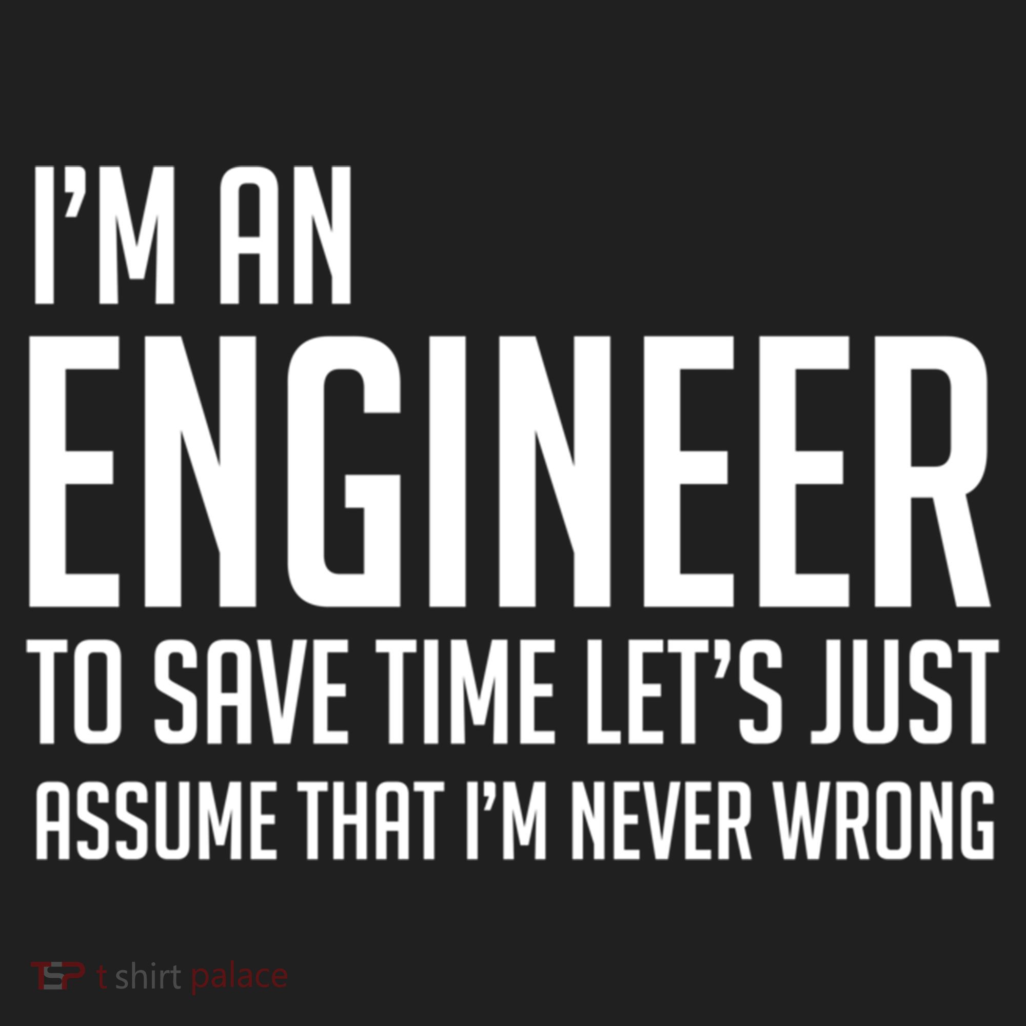 Im An Engineer Lets Just Assume Im Never Wrong Gift Beanie