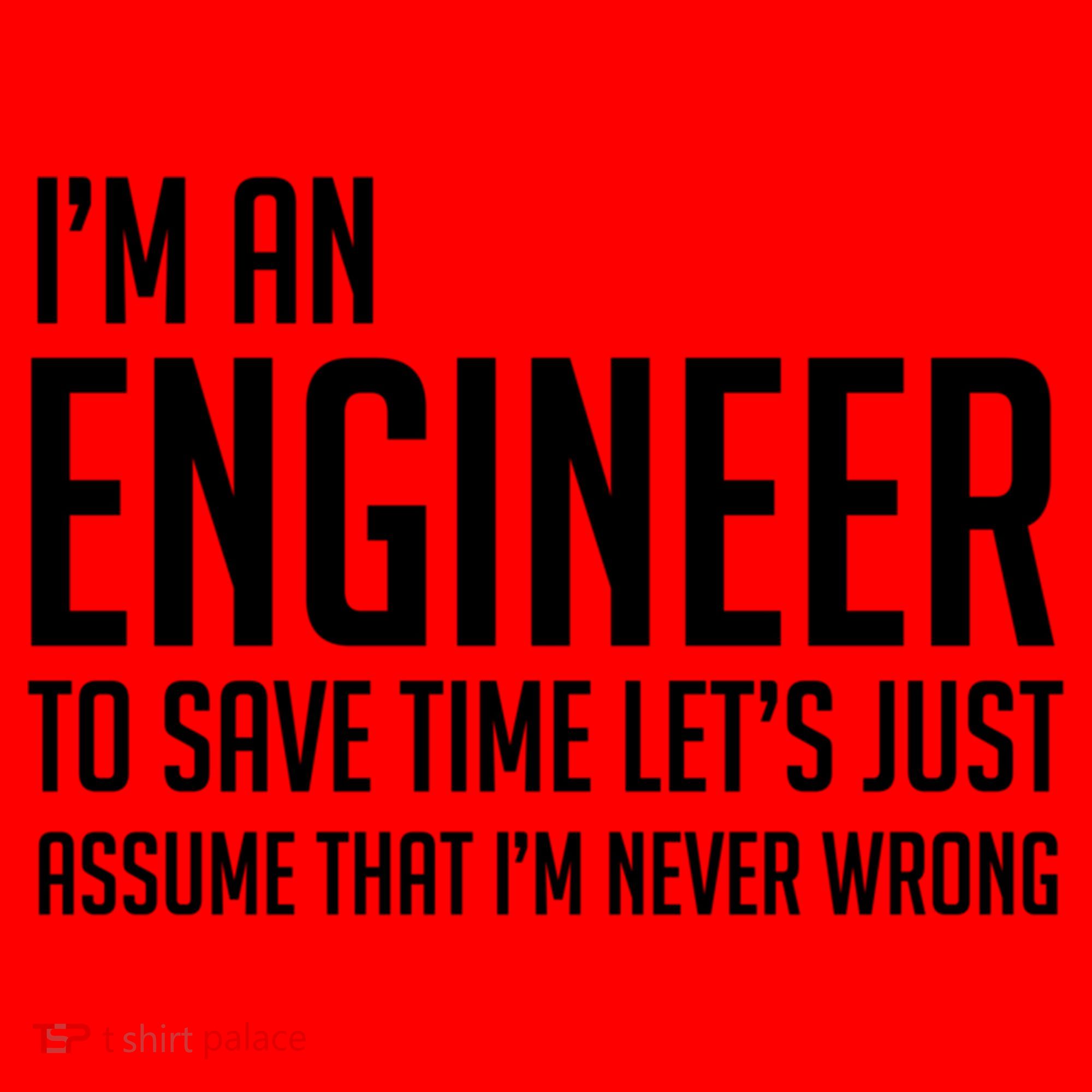 Im An Engineer Lets Just Assume Im Never Wrong Gift Santa Hat