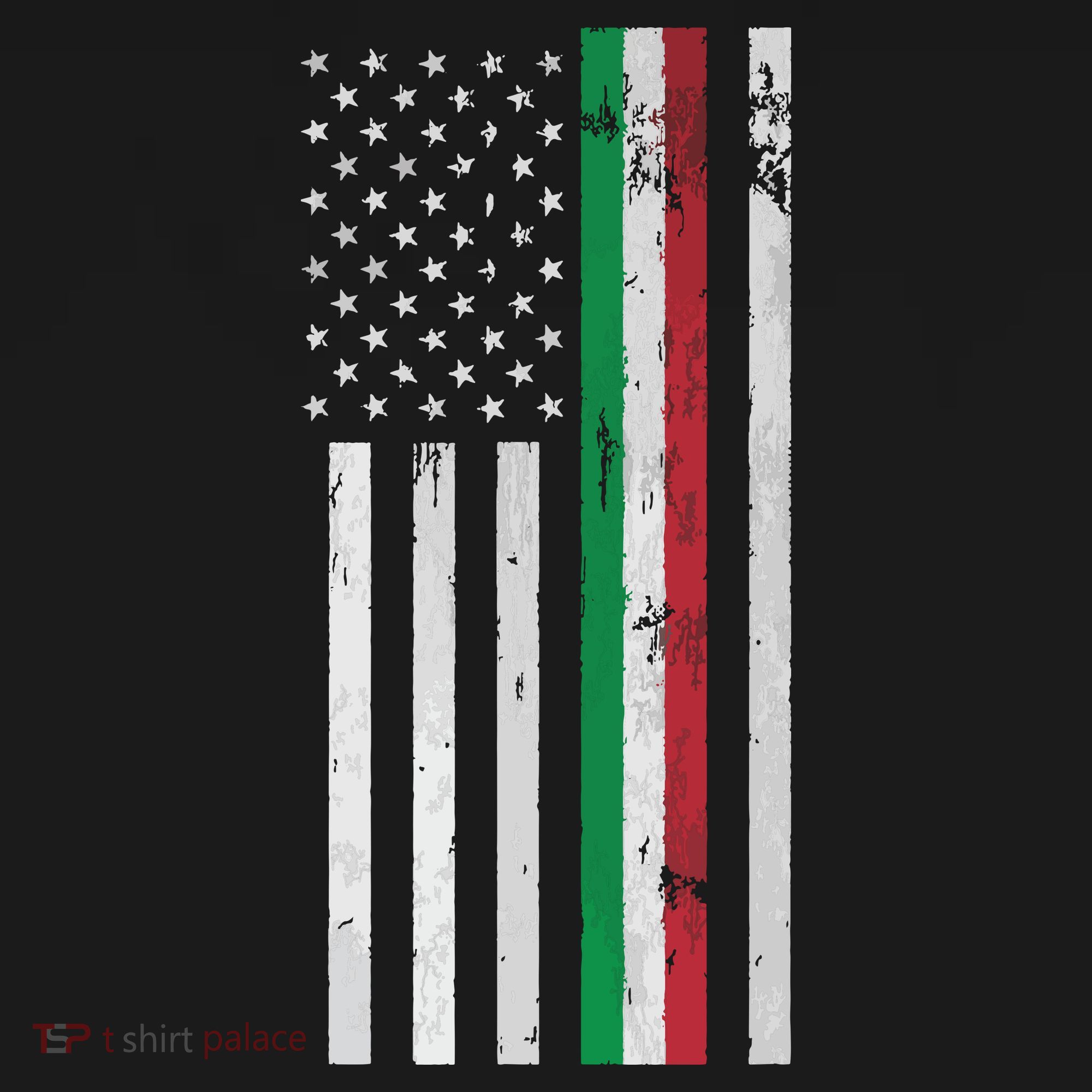 Italian American Flag Italian American Pride Women's Hoodie