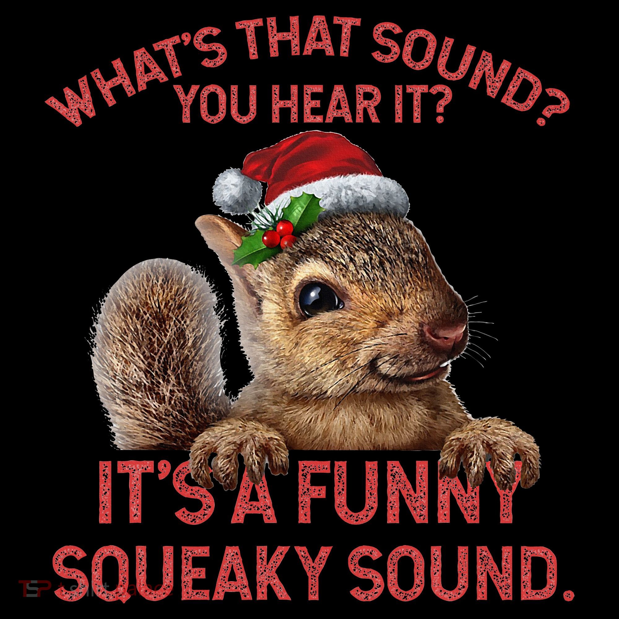 ItS A Funny Squeaky Sound Christmas Squirrel Women's Hoodie