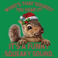 ItS A Funny Squeaky Sound Christmas Squirrel Mousepad thumb 1