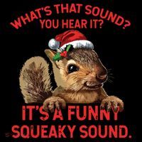 Its A Funny Squeaky Sound Christmas Squirrel Women's Hoodie thumb 2