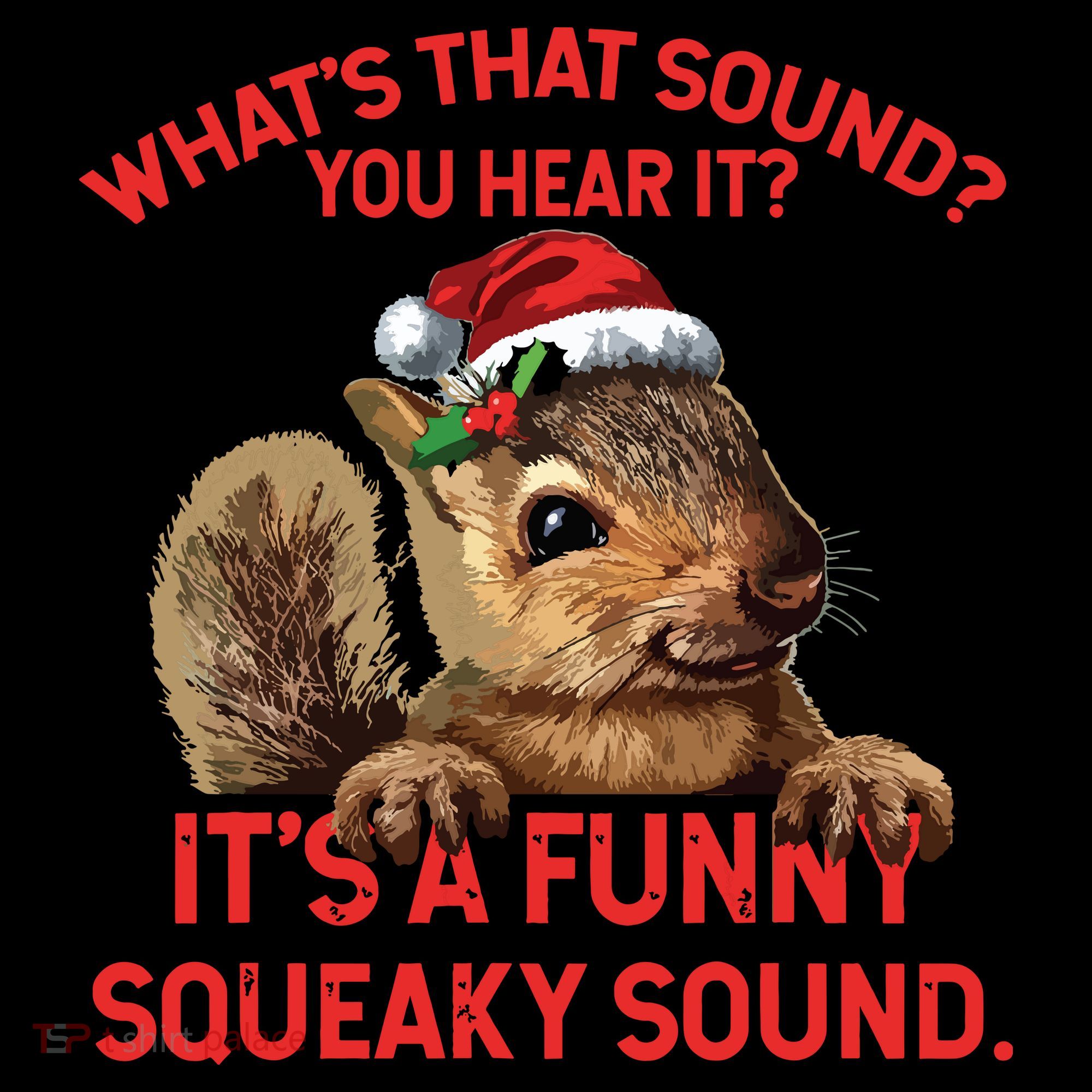 Its A Funny Squeaky Sound Christmas Squirrel Women's Hoodie