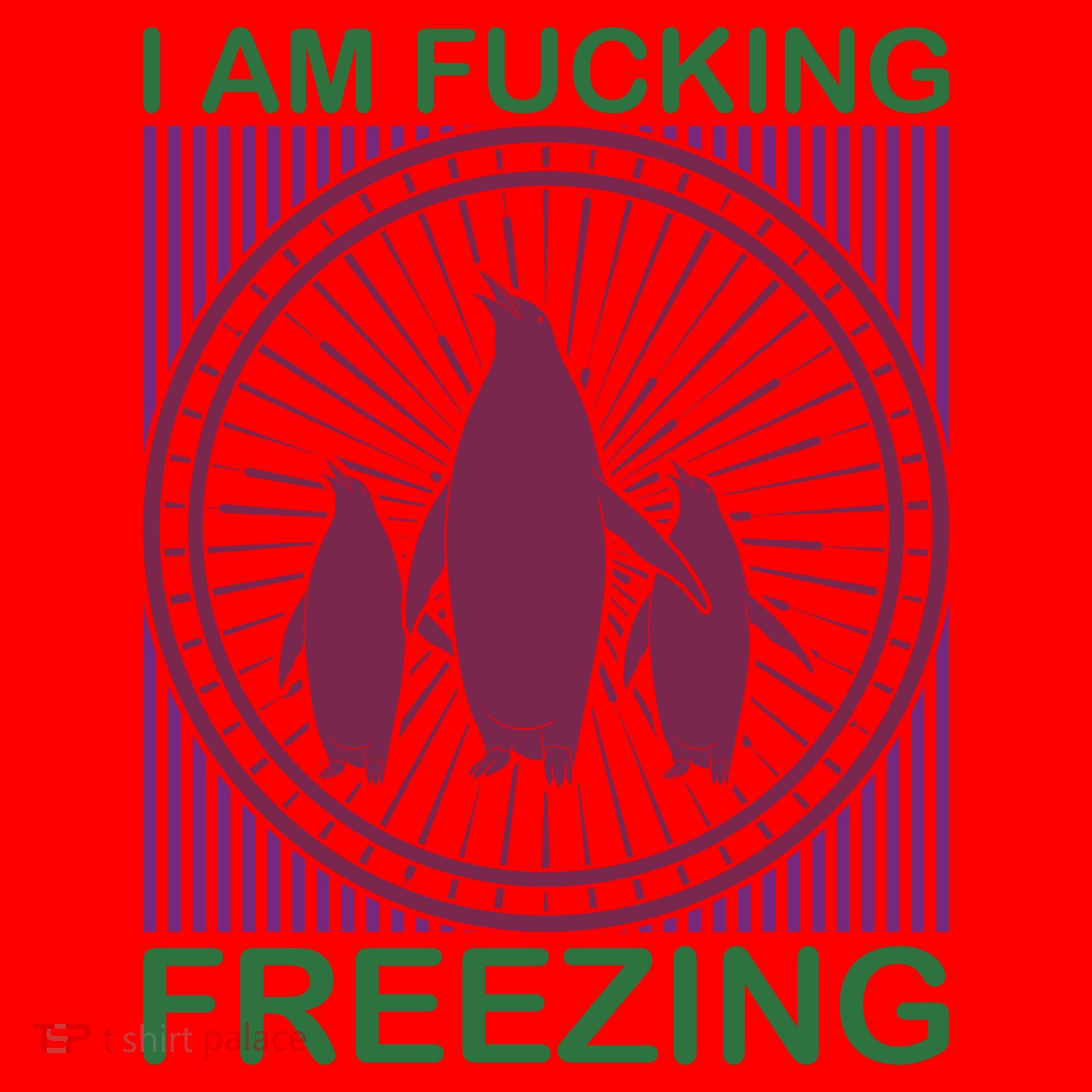 I Am Fucking Freezing Santa Hat