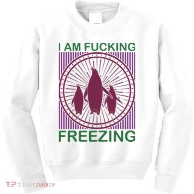I Am Fucking Freezing Kids Sweatshirt