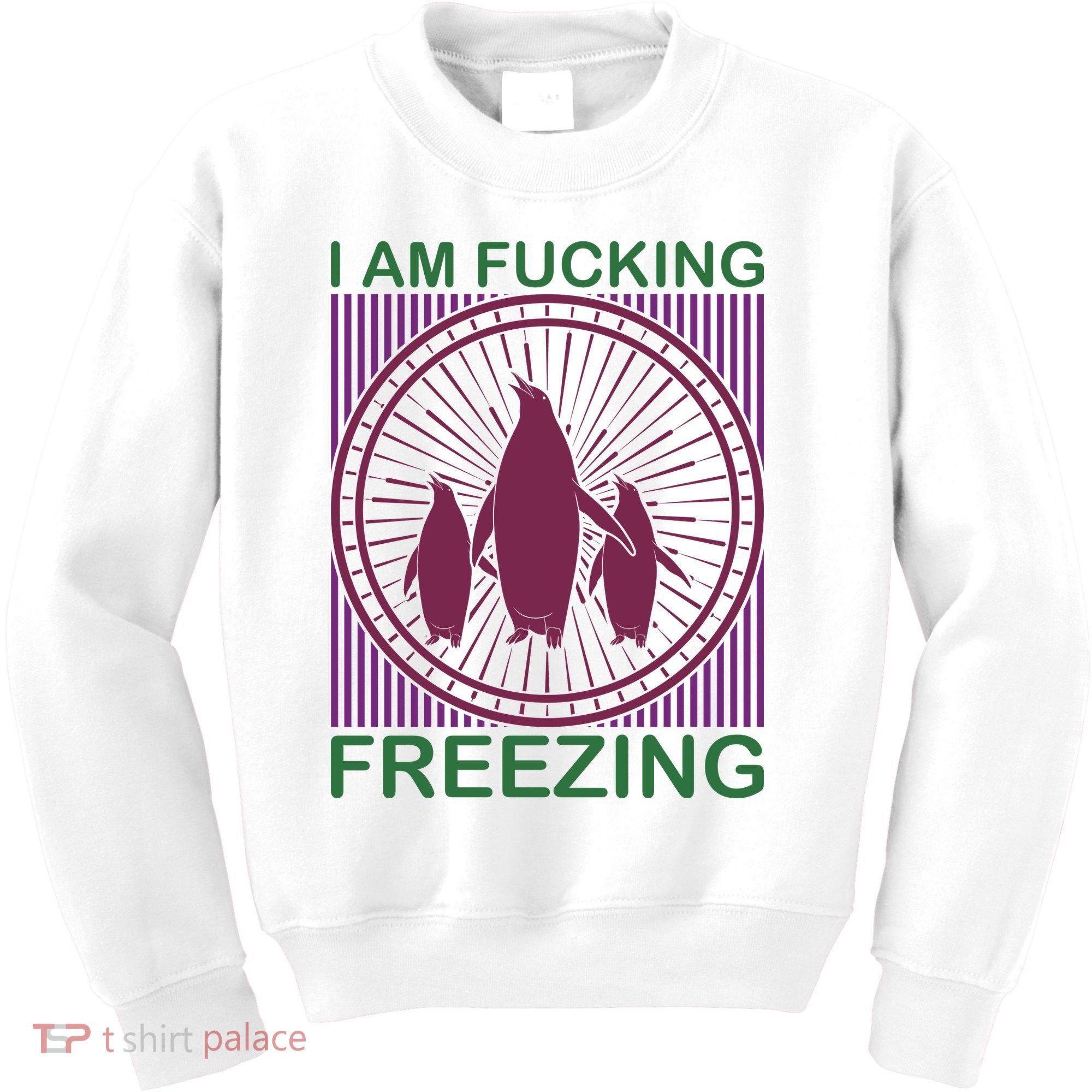 I Am Fucking Freezing Kids Sweatshirt