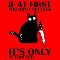 If At First You Dont Succeed It Is Only Attempted Murder Cool Gift Santa Hat thumb 1
