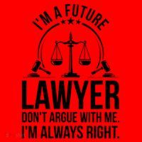 Im A Future Lawyer Apparel Law Student Gift Santa Hat thumb 1