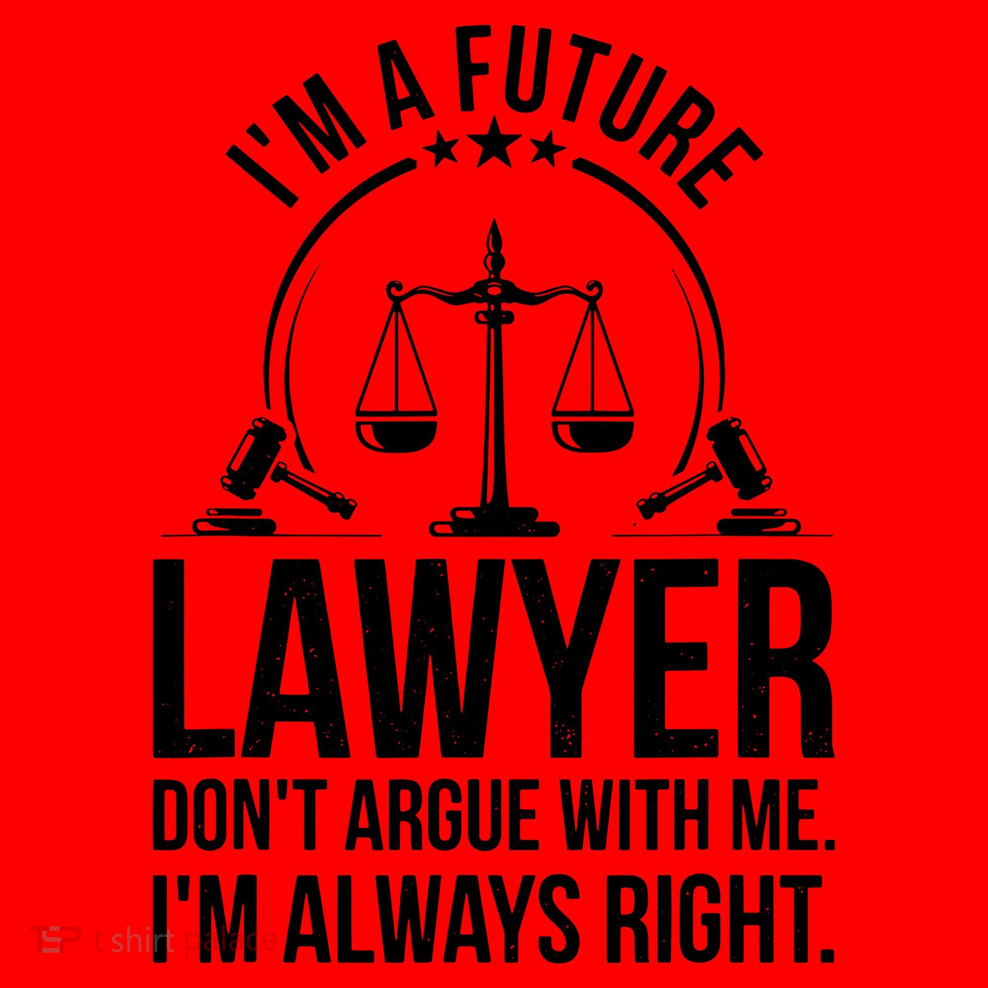 Im A Future Lawyer Apparel Law Student Gift Santa Hat