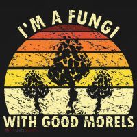 I'm A Fungi Funny Mushroom Foraging Retro FungiHunter Hoodie thumb 2