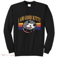 I Am Good Kitty Opossum Retro Possum Cat Pet Sweatshirt thumb 0