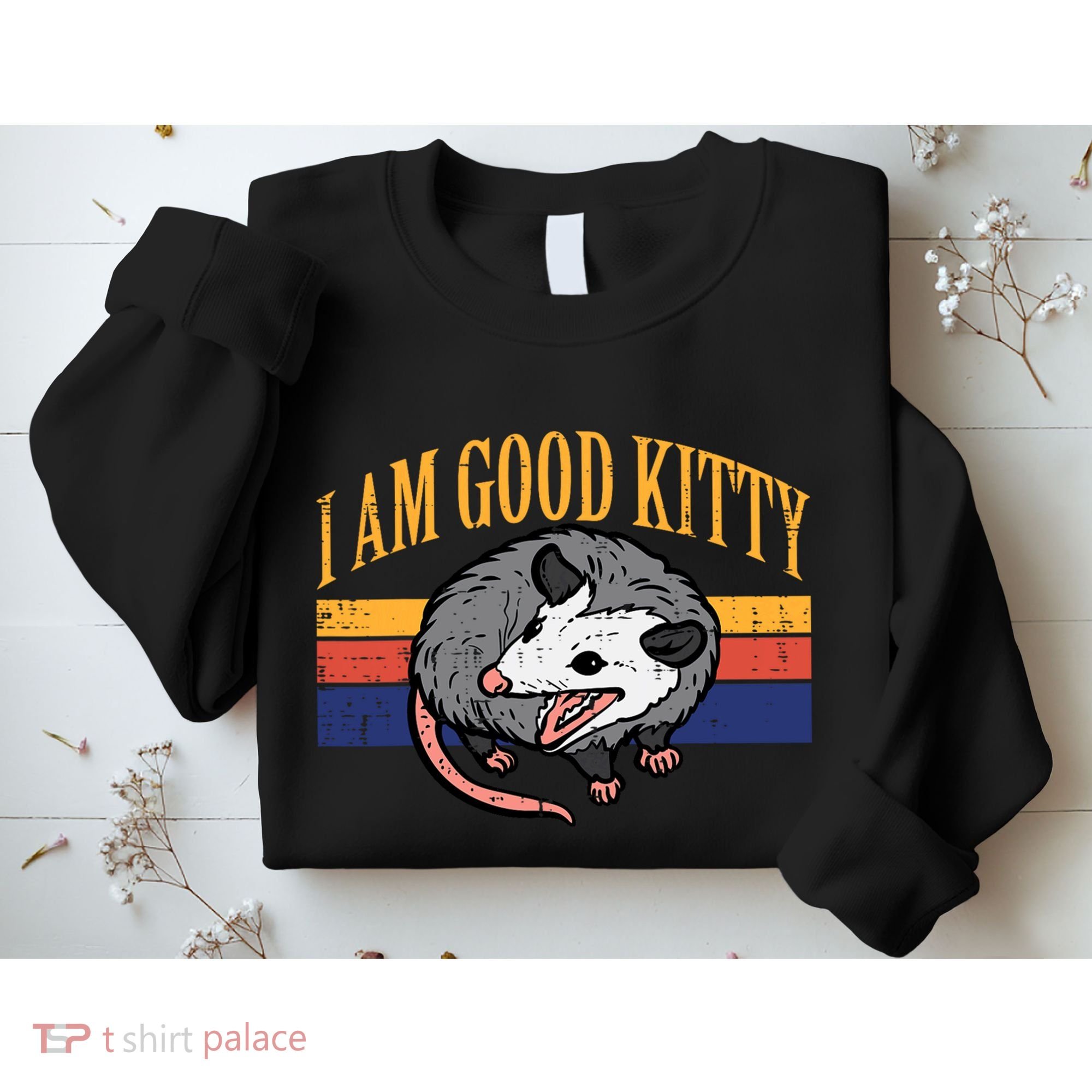 I Am Good Kitty Opossum Retro Possum Cat Pet Sweatshirt