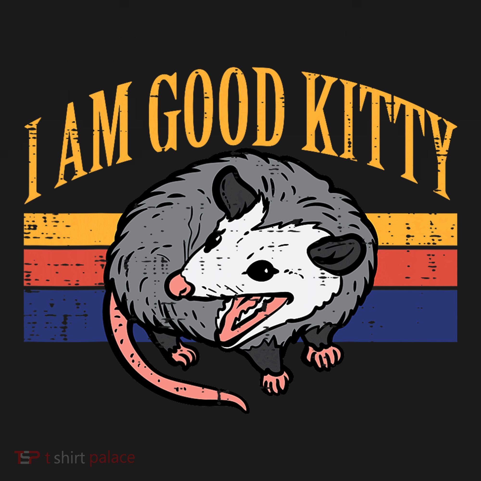 I Am Good Kitty Opossum Retro Possum Cat Pet T-Shirt