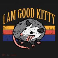 I Am Good Kitty Opossum Retro Possum Cat Pet Women's Hoodie thumb 2