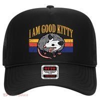 I Am Good Kitty Opossum Retro Possum Cat Pet Hat thumb 0