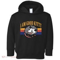 I Am Good Kitty Opossum Retro Possum Cat Pet Toddler Hoodie thumb 0