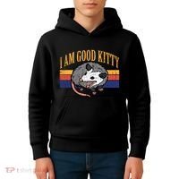 I Am Good Kitty Opossum Retro Possum Cat Pet Kids Hoodie thumb 4