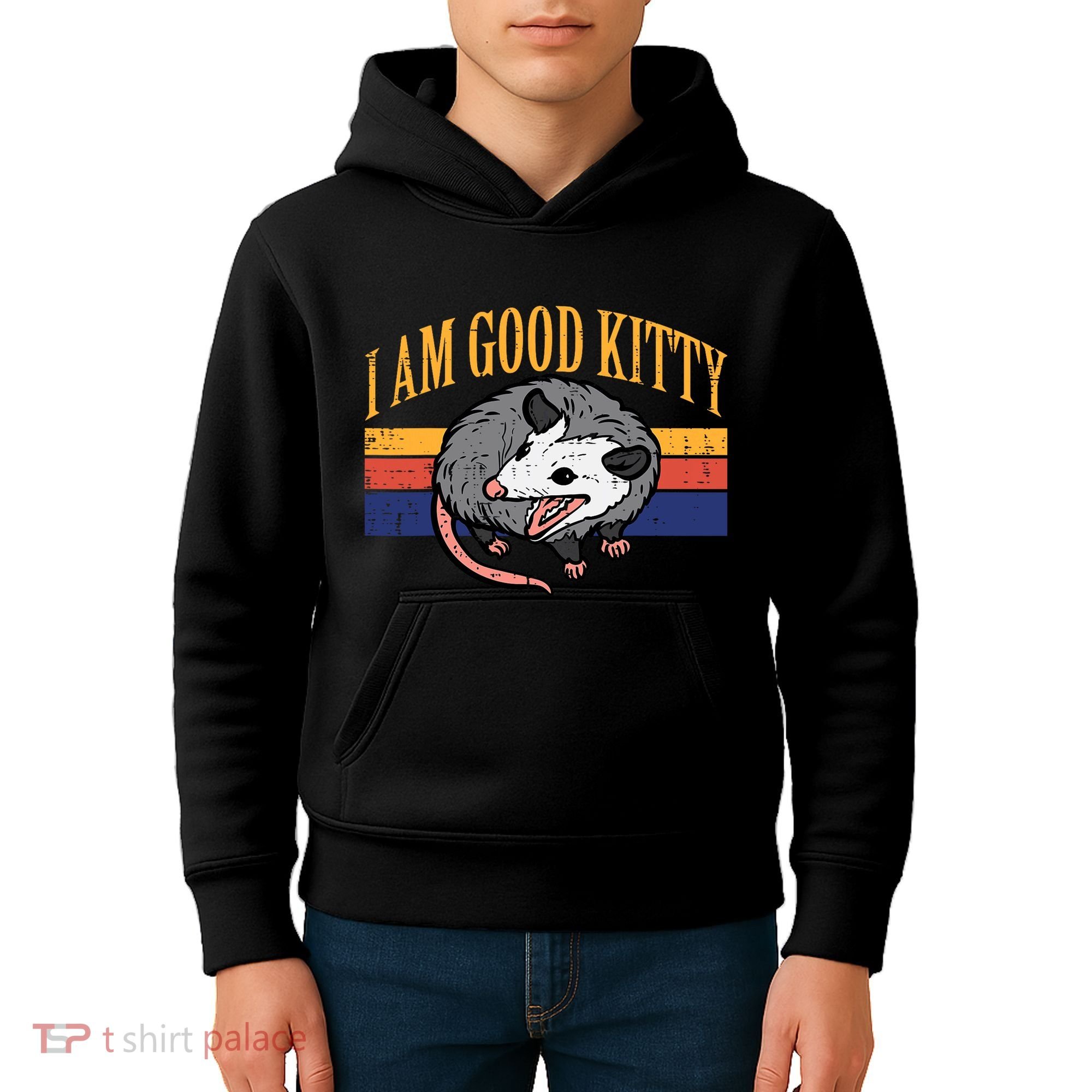 I Am Good Kitty Opossum Retro Possum Cat Pet Kids Hoodie