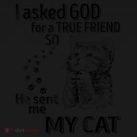 I Asked God For A True Friend So He Sent Me My Cat Toddler Hoodie thumb 2