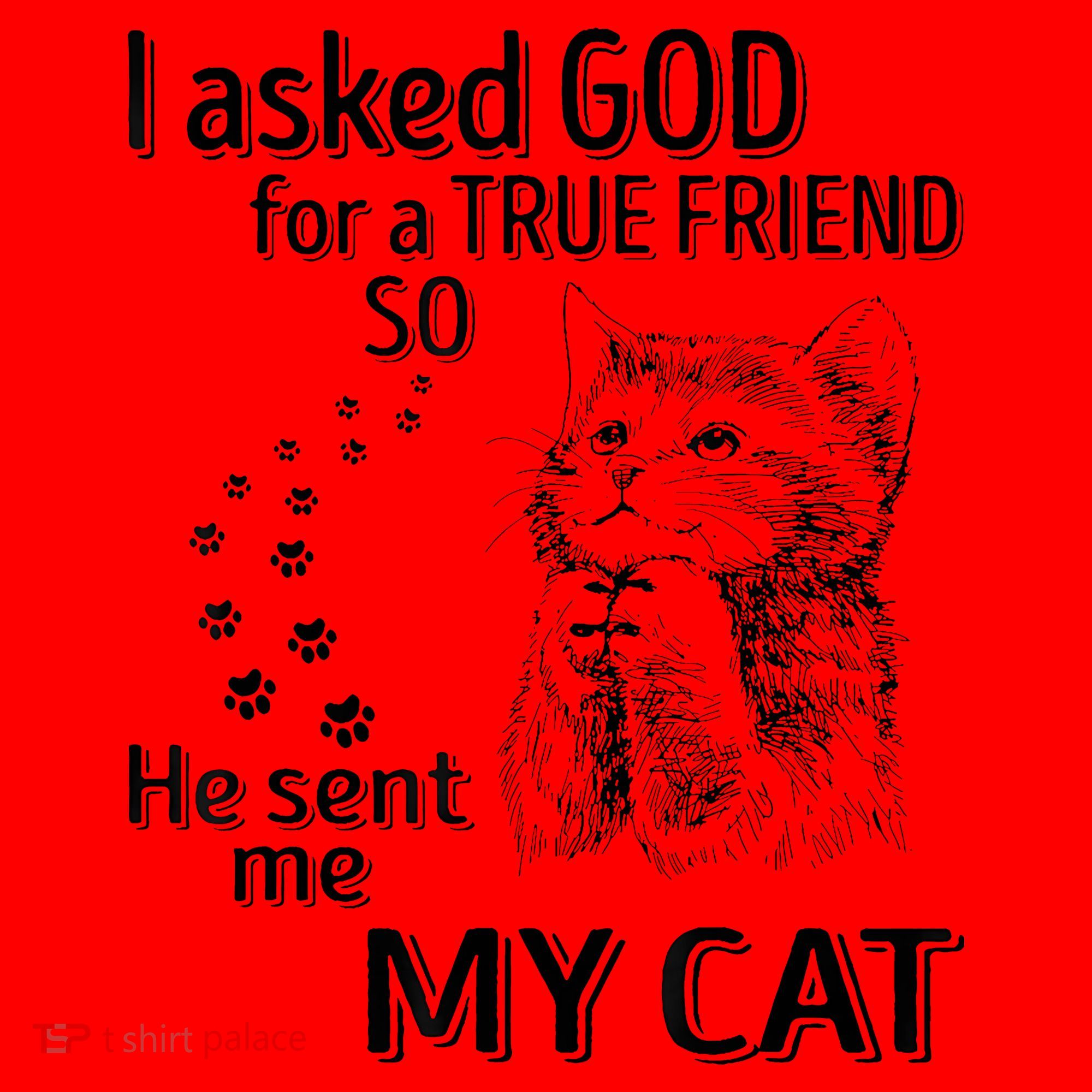 I Asked God For A True Friend So He Sent Me My Cat Santa Hat