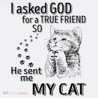 I Asked God For A True Friend So He Sent Me My Cat Kids Sweatshirt thumb 2