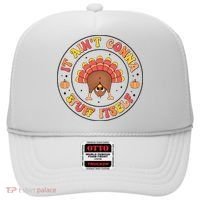 Its Ain’T Gonna Stuff Itself Turkey Thanksgiving Hat thumb 0