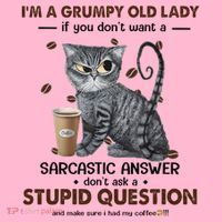 IM A Grumpy Old Lady If You DonT Want Sarcastic Answer Cat Coaster thumb 2