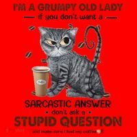 IM A Grumpy Old Lady If You DonT Want Sarcastic Answer Cat Santa Hat thumb 1