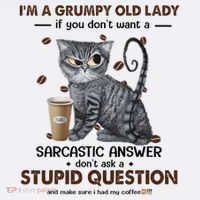IM A Grumpy Old Lady If You DonT Want Sarcastic Answer Cat Mousepad thumb 1