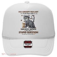 IM A Grumpy Old Lady If You DonT Want Sarcastic Answer Cat Hat thumb 0
