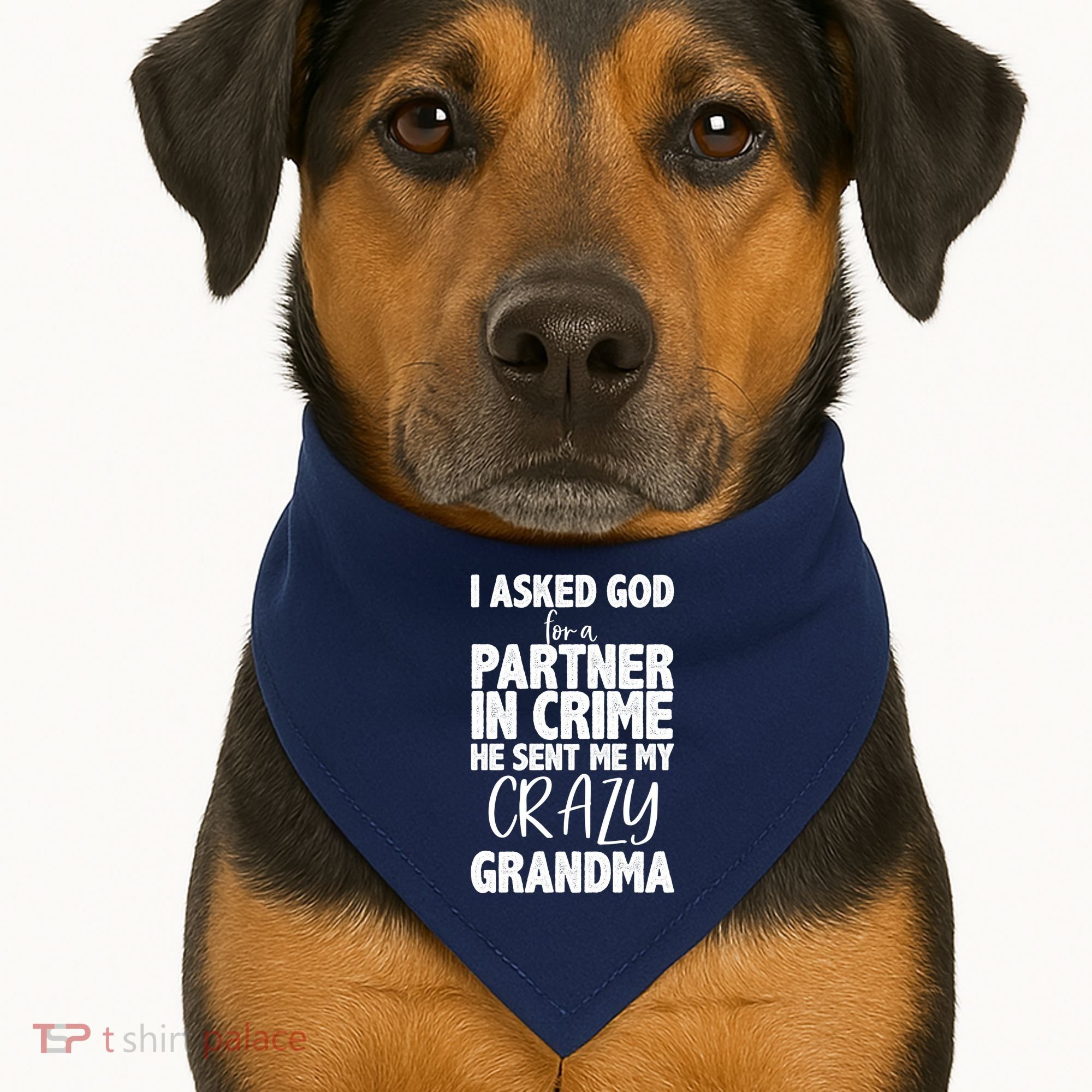 Crazy Grandma Partner In Crime USA-Made Doggie Bandana