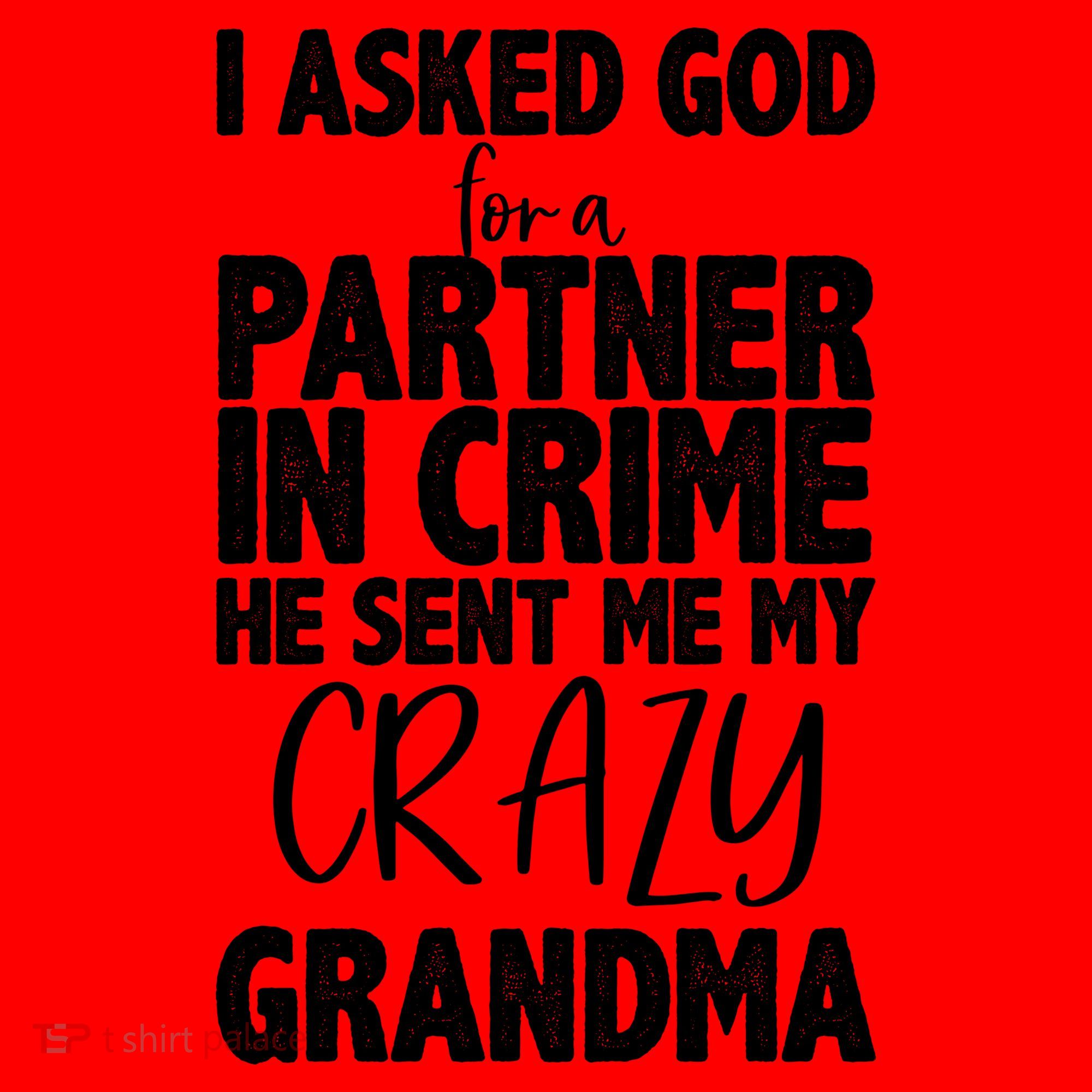 Crazy Grandma Partner In Crime Santa Hat
