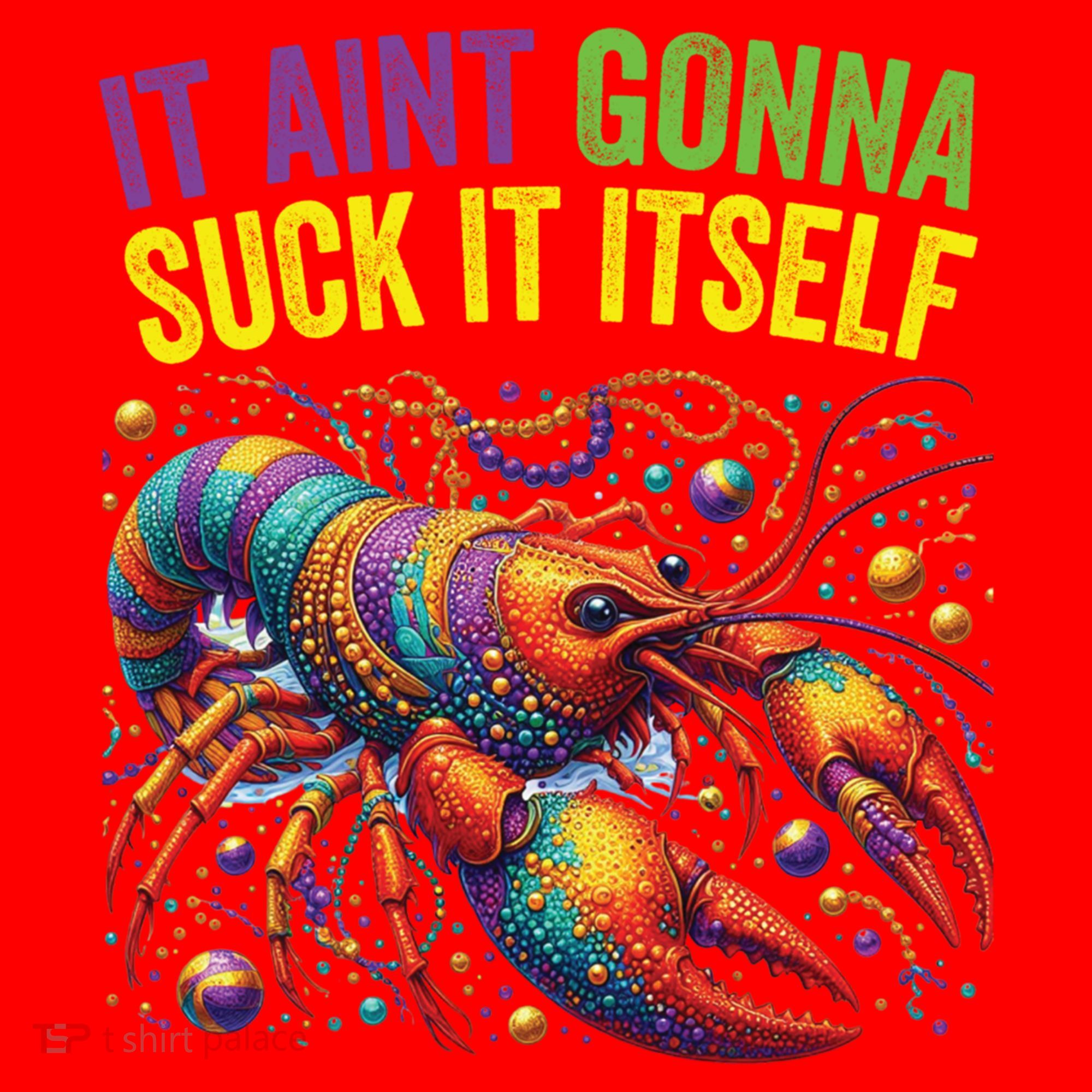 It Aint Gonna Suck Itself Crawfish Funny Mardi Gras Cool Gift Santa Hat