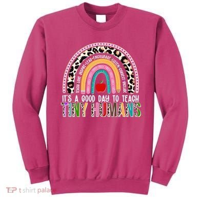 It's A Good Day To Teach Tiny Humans Sweatshirt