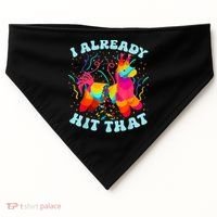 I Already Hit That Pinata Mexico Cinco De Mayo Boy USA-Made Doggie Bandana thumb 0