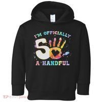 I'm A Handful 5th Birthday Party Funny Five Toddler Hoodie thumb 0