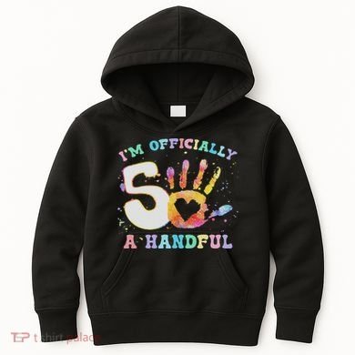 I'm A Handful 5th Birthday Party Funny Five Kids Hoodie