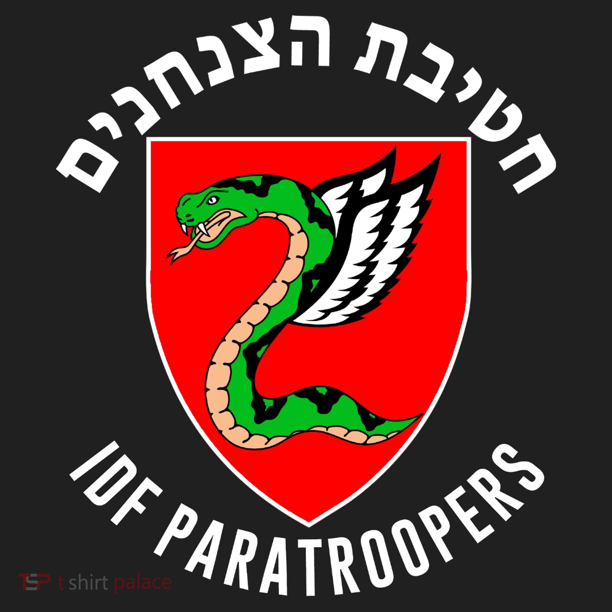 Israel Army Idf 35th Paratroopers Brigade Back & Front Hat